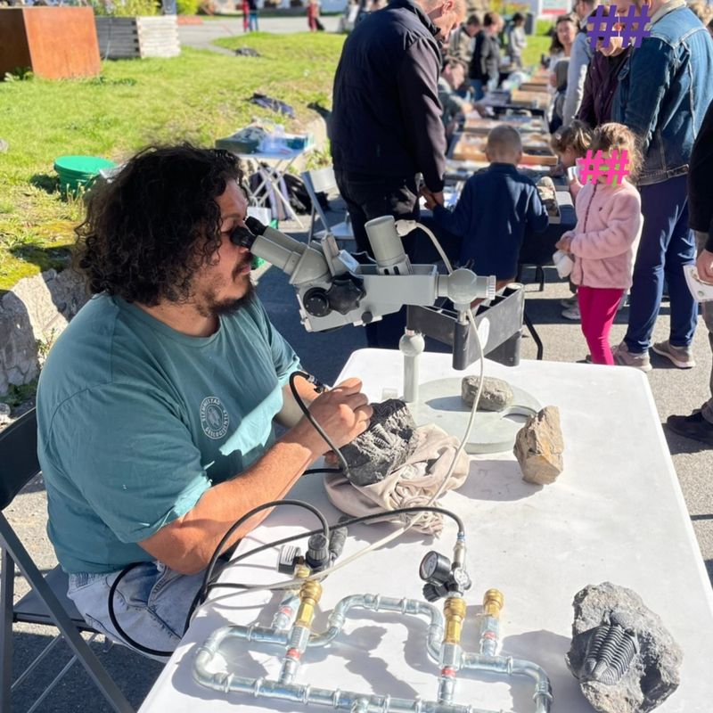 Trilobox Project 2016