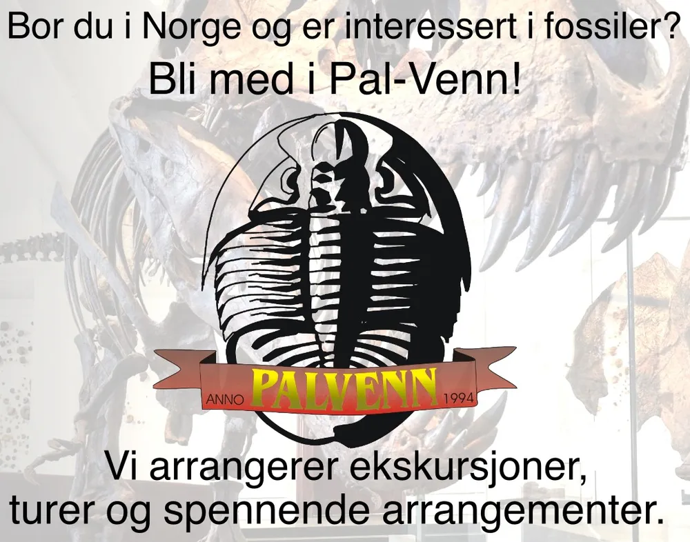 Bli med Pal-Venn